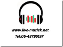 Bezoek Drive-In Show & BruiloftBands